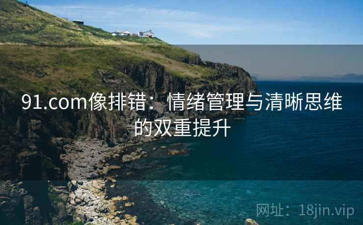 91.com像排错:情绪管理与清晰思维的双重提升 91.com像排错:情绪管理与清晰思维的双重提升